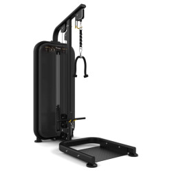 Vision Biceps / Triceps
